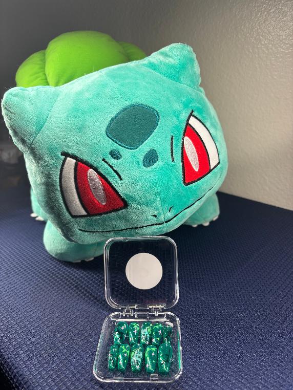 🌿✨ Medium-Coffin Pokémon Bulbasaur Green Set ✨🌿(Size Small-Medium)